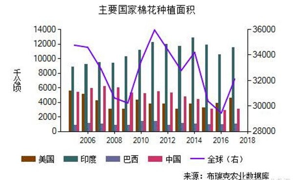 棉花期货